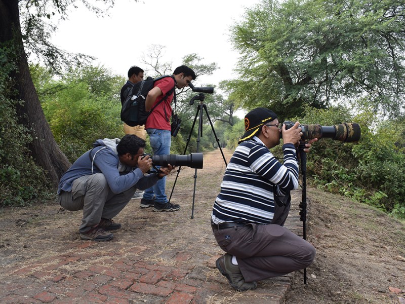 10 steps: How to be a birdwatcher&nbsp;(hobbyist)