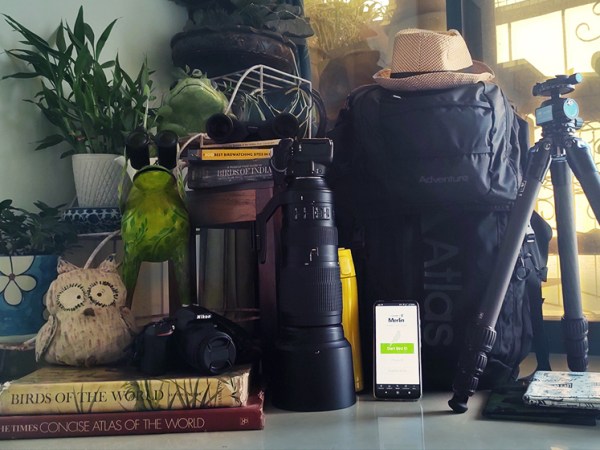 How nature found&nbsp;me