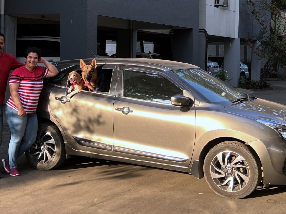 Road travel: How to take your pet dog on road&nbsp;trips