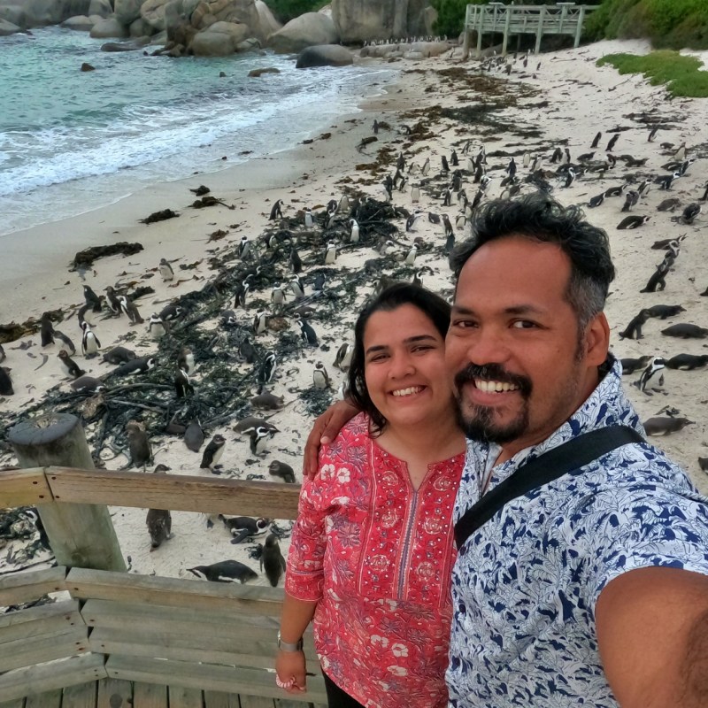 Discovering Simon’s Town: Pelagic Birdwatching and African Penguin&nbsp;Watching